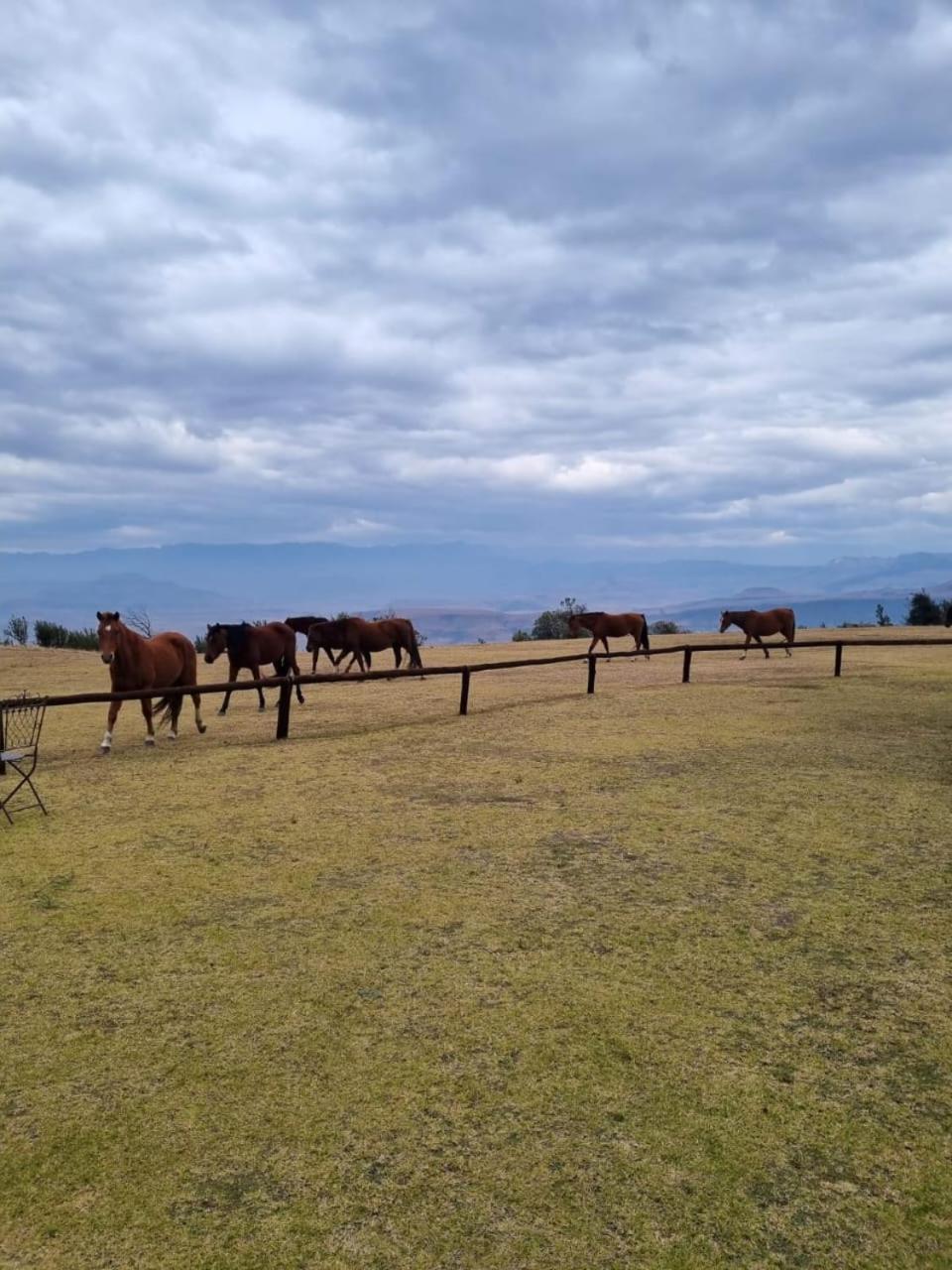 Drakensberg Mountain Retreat Guest House Bergville Ngoại thất bức ảnh